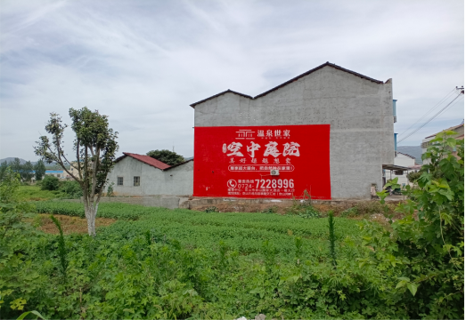 安陆做墙体广告的意义