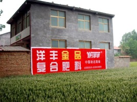 安陆如何让墙体广告展现最大化效果