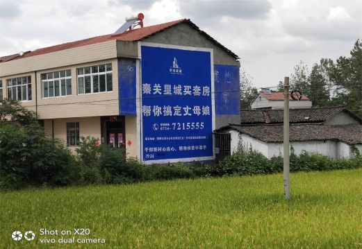 安陆决定墙体广告价格的因素有哪些？