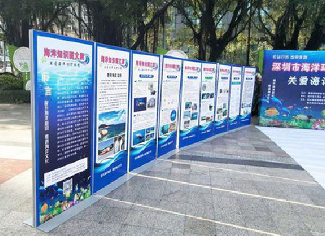 安陆KT板的种类和知识。